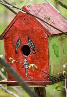 The right place for a nesting box