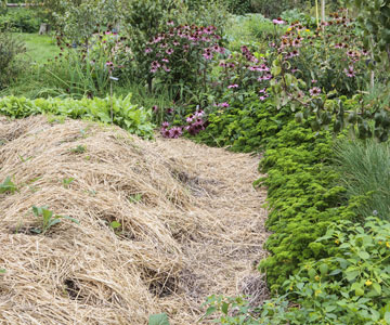 The 'permaculture', for an easier vegetable garden!