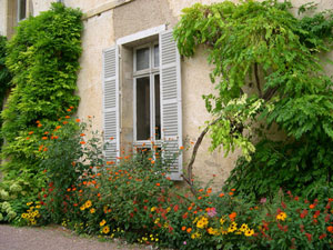 Shrubs and trees next to the house