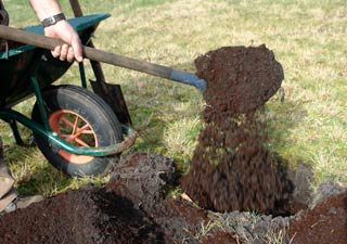 Soil preparation, is not something to get wrong