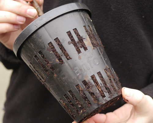 Planfor's perforated 1-litre Pot