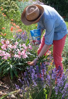 Give some tonus back to your flowering plants