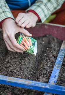 Sow spring vegetables (directly into the ground, in the open air)