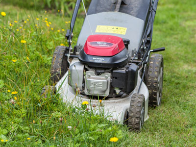 Looking after the lawn in the spring