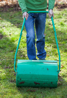 Looking after the lawn in the spring