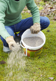 Looking after the lawn in the spring