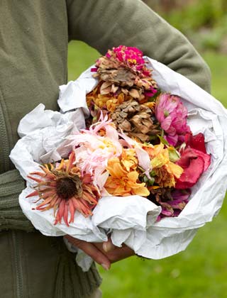 Pruning flowering plants