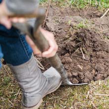 Working the soil in winter