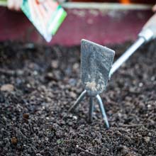 Working the soil in winter