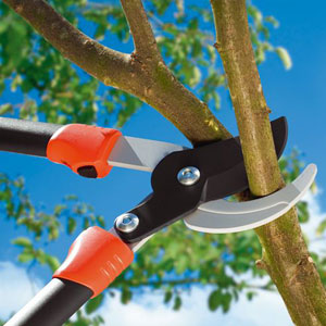 Comfort Pruning Lopper 870 BL - Gardena