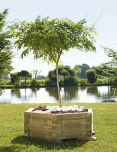 Wooden Planter