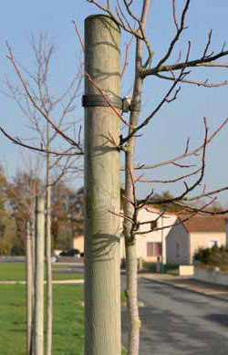 Machined stakes made from pressure treated Class 4 pines