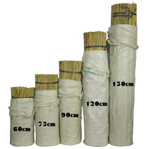 Natural Bamboo Stakes