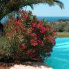 Rose Bay, Red Flowers