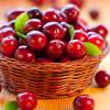 Cranberry