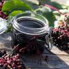 Elderberry, Black
