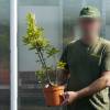 Strawberry tree