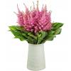 Astilbe Pink