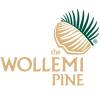 Pine, Wollemi