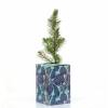 Pine Tree as a business gift