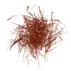 Crocus Saffron - Crocus Sativa