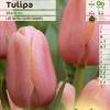 Tulip Late flowering 'Menton'