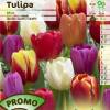 Tulip Triumph, Mixed