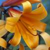 Trumpet shaped Lily 'African Queen'