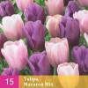 Tulip 'Macaron' Mix