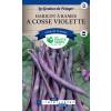 Purple Podded French Climbing Beans