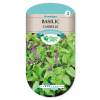 Basil