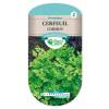 Chervil