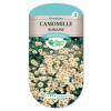 Roman Camomile