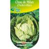 Cabbage seeds - Savoy Cabbage from Aubervilliers