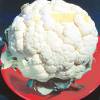 Wonder all Seasons Cauliflower