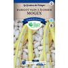 Dry Shelling Bean 'Mogex'