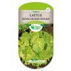 Lettuce seeds - Blonde Bord Rouge Batavia Lettuce