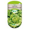 Lettuce seeds - Dore de Printemps Batavia Lettuce