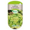 Lettuce seeds - 'Bon Jardinier' Lettuce