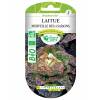 Lettuce seeds - 'Merveille des 4 saisons' Lettuce