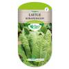 Lettuce seeds - 'Romaine Ballon' Lettuce