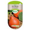 'Potimarron' Pumpkin