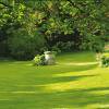 Lawn Shady Areas