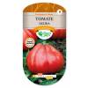 Tomato, 'Liguria'