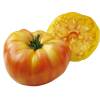 Tomato, 'Ananas'