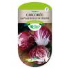 Verone red Chicory