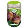 Champion Collet Rouge Swede Rutabaga