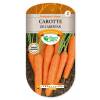 Carentan Carrot