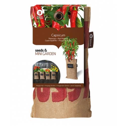 Hanging Growing Kit Chili Pepper buy Hanging Growing Kit Chili