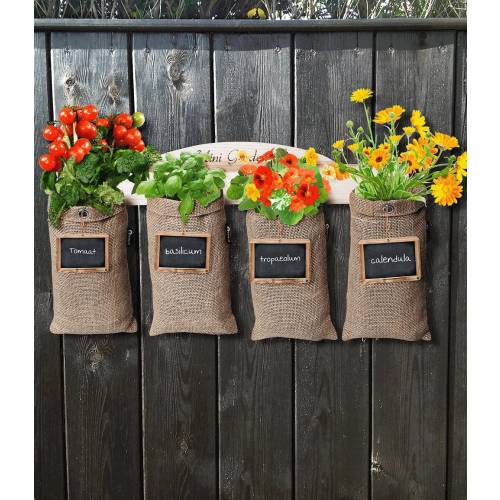 Hanging Growing Kit Parsley buy Hanging Growing Kit Parsley